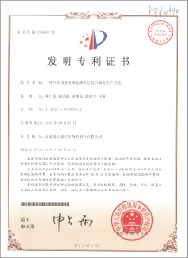 Patent for invention