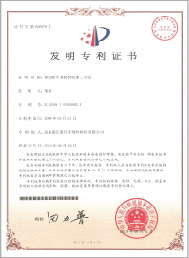 Patent for invention